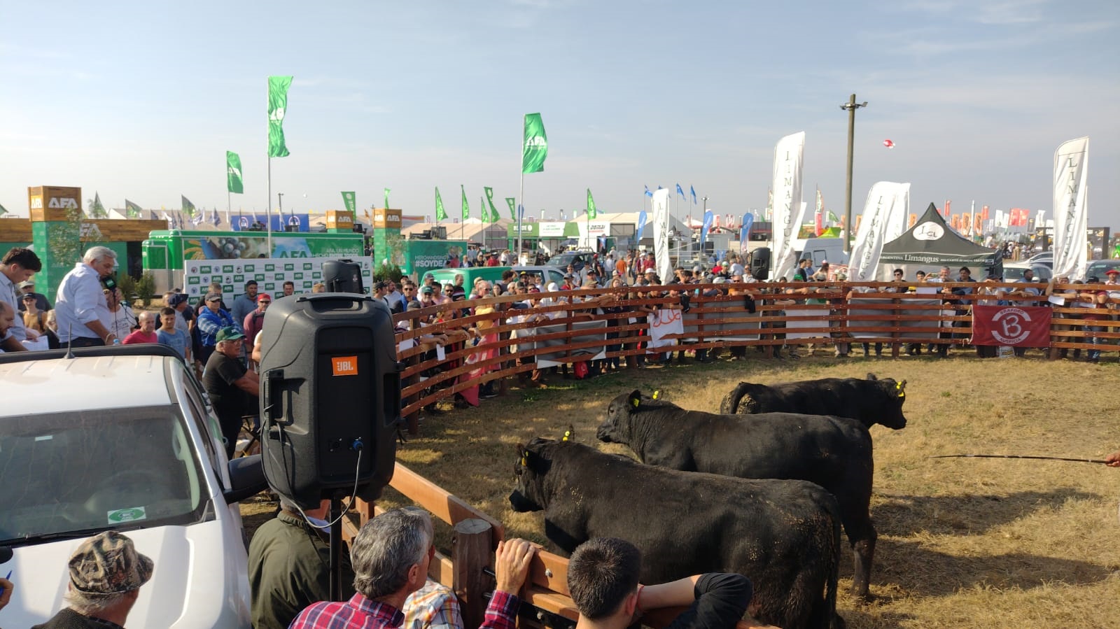 Los toros y vaquillonas se vendieron con valores más altos que el mercado